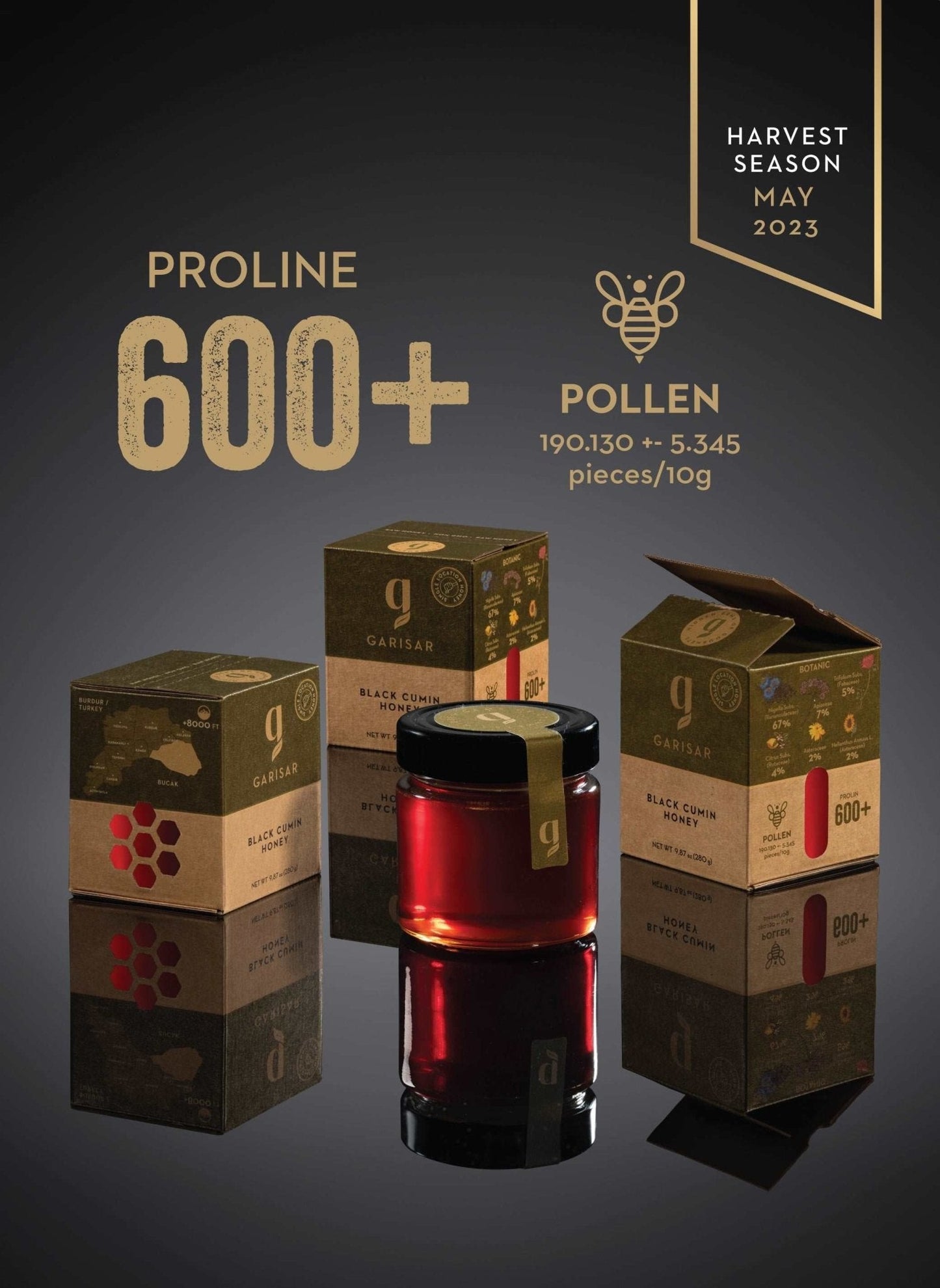 Garisar The Full Hive