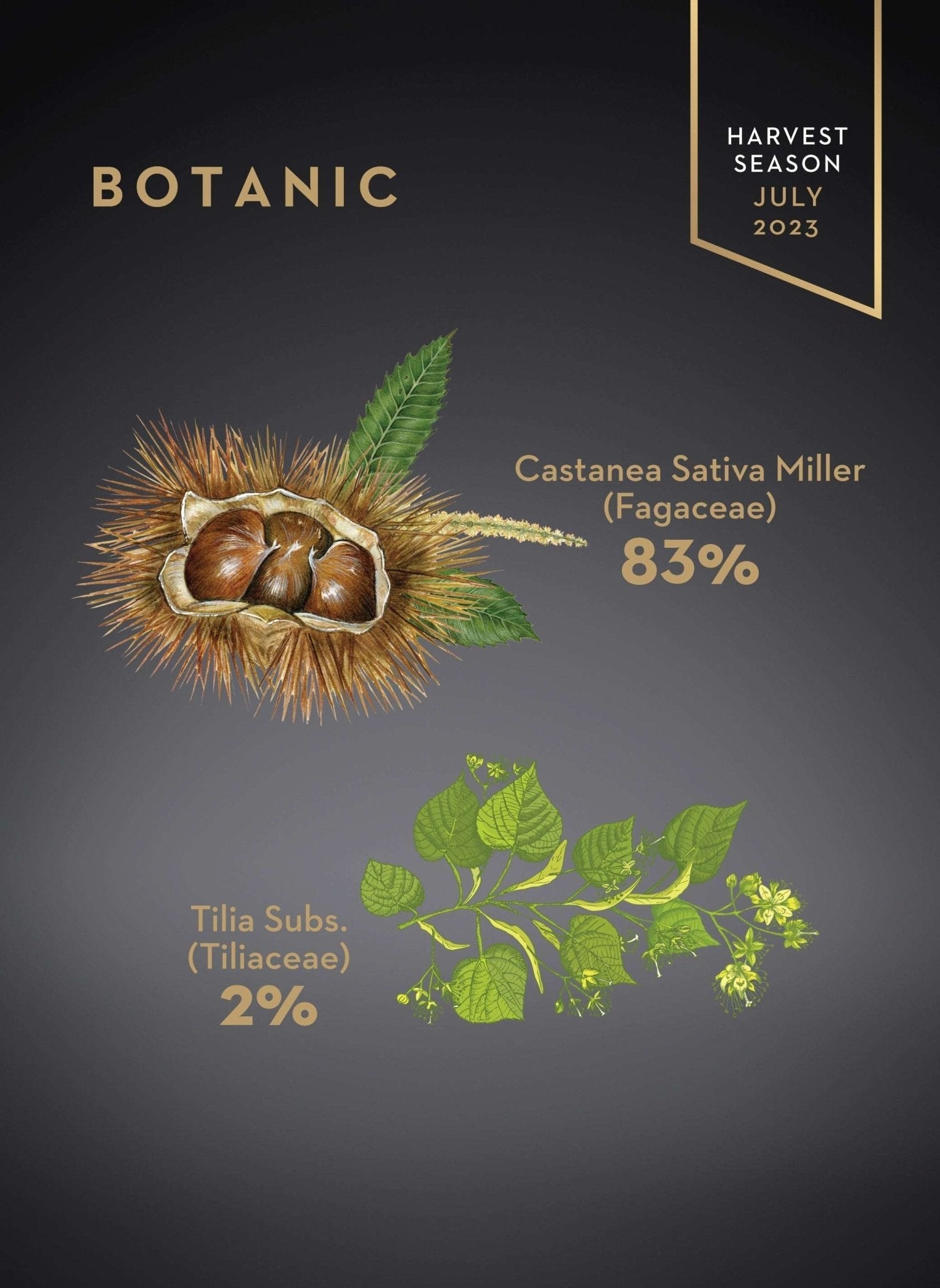 Garisar Chestnut Honey
