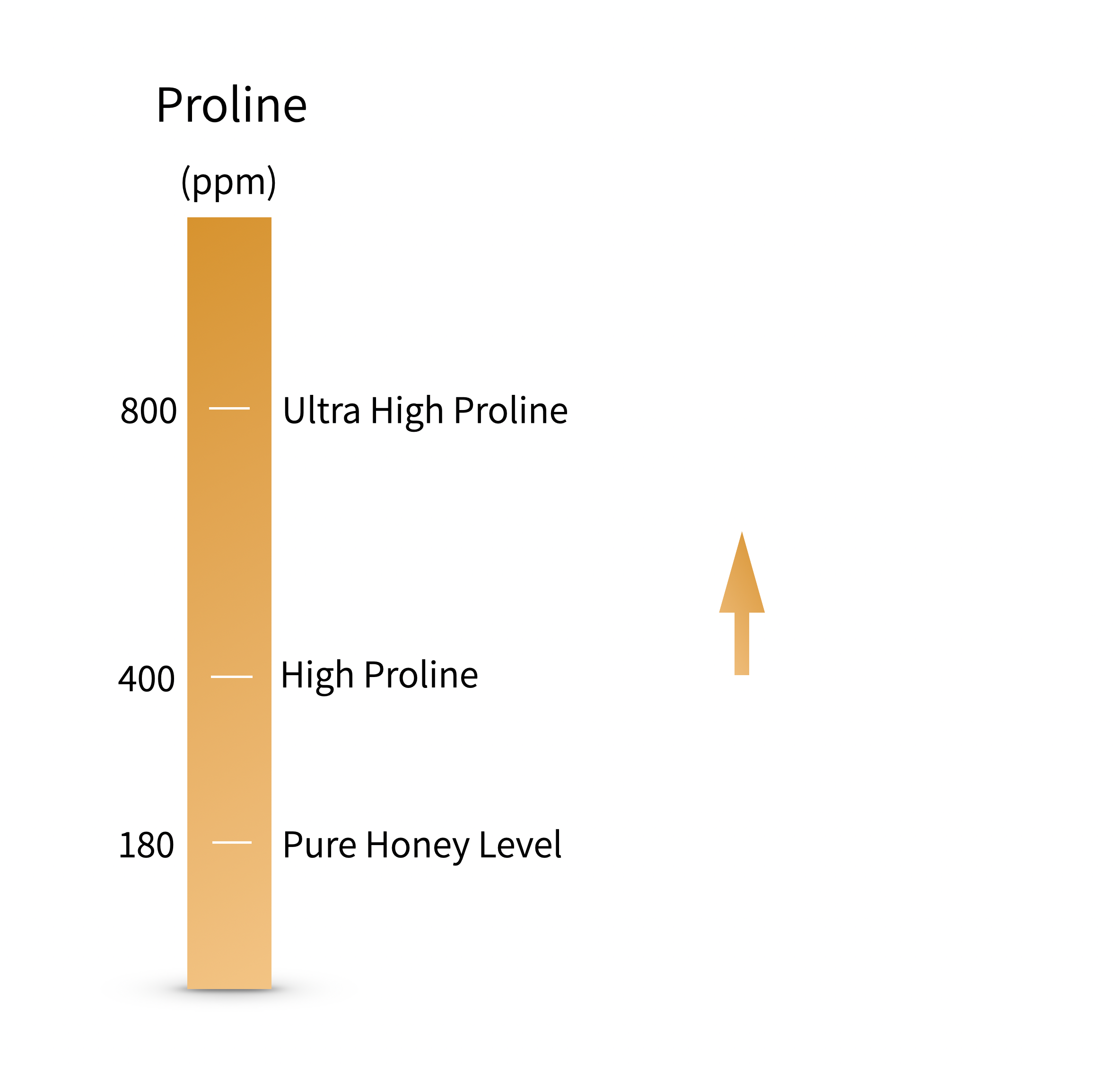 Proline: The Youth Elixir - 5 Touches for Your Health – Garisar